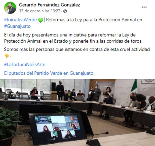 ¿Adiós tauromaquia en Guanajuato? Promueven ley contra maltrato animal  