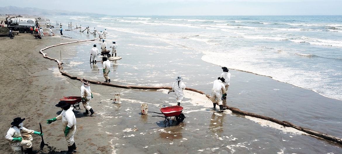 Trabajos de limpieza tras el derrame de petróleo en la costa del distrito de Ventanilla en la provincia constitucional del Callao, Perú.