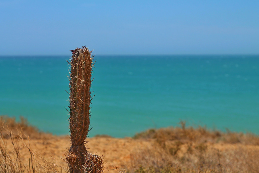 Paisaje de La Guajira, en Colombia.